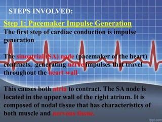 pacemaker impulse generation.